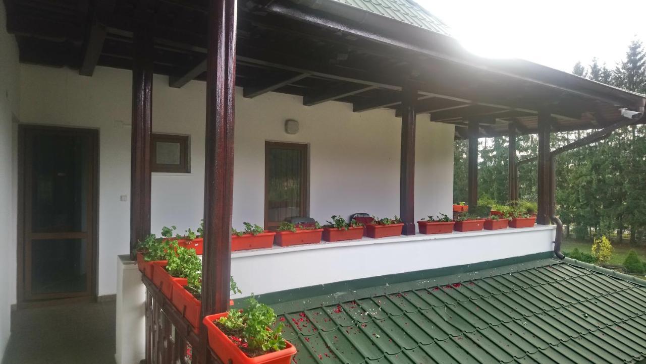 Casa "Ierusalim-Hozeva-Hozeva" Guest House Minastirea Neamt Exterior photo